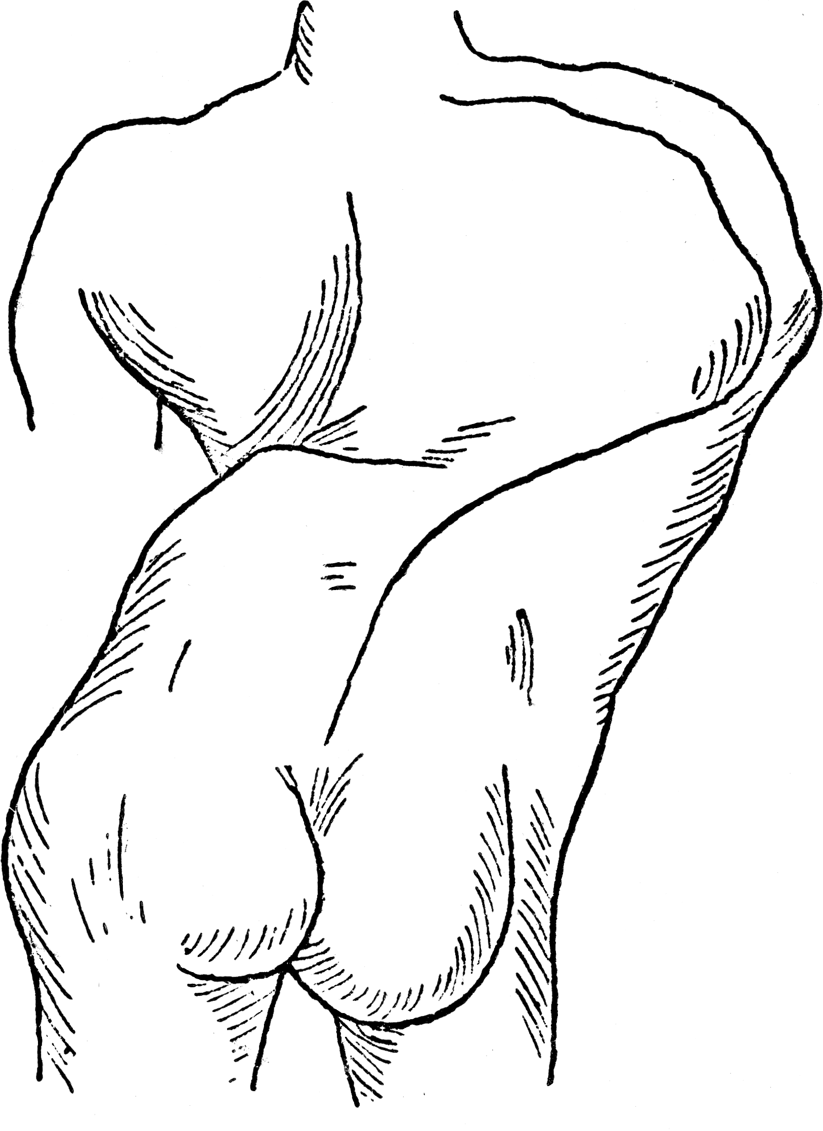 Imagem de referência de escoliose, descrito nos dados abertos como deformação da coluna vertebral