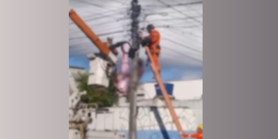 Corpo foi retirado no in&iacute;cio da manh&atilde; desta segunda-feira, 21, pelo Corpo de Bombeiros Foto: Reprodu&ccedil;&atilde;o/Instagram/@olindaordinariaa