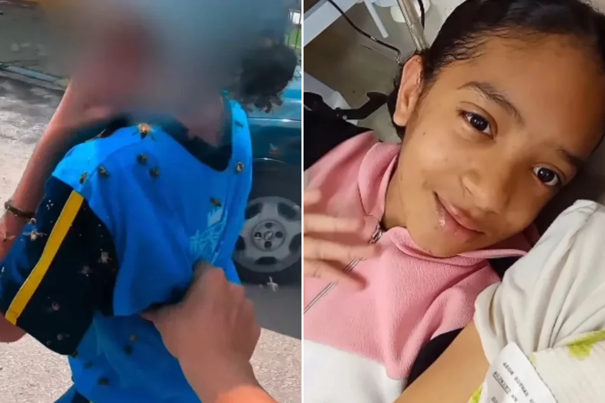 Safira, menina atacada por abelhas, tem alta hospitalar em MG