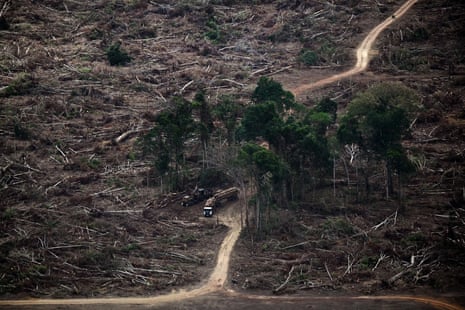 Trucks loaded with felled trees drive through a denuded forest