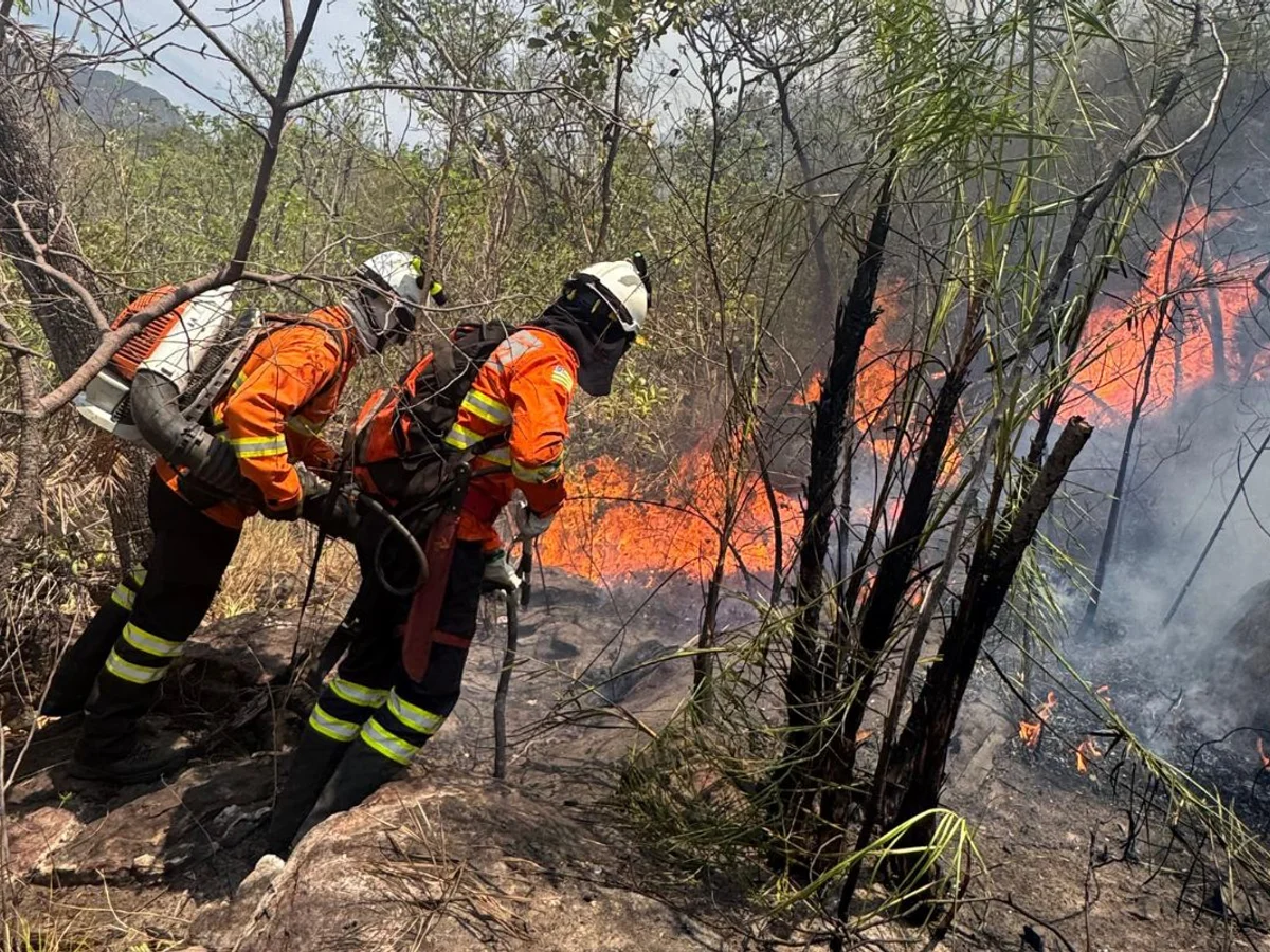 Raio provoca incêndio em área de difícil acesso na Chapada dos Veadeiros