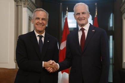 Há mais borboletas-monarca em Toronto este ano? Especialistas dizem que sim, mas há uma pegadinha.