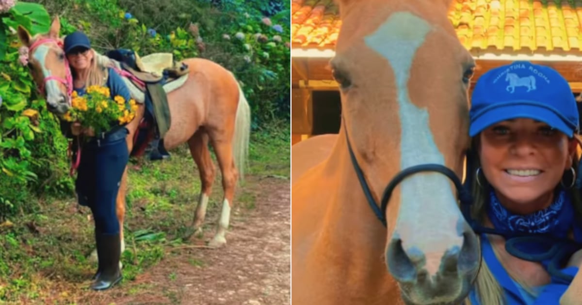 Christina Rocha se despede de Dakat, sua companheira de hipismo: ‘Quanta saudade’