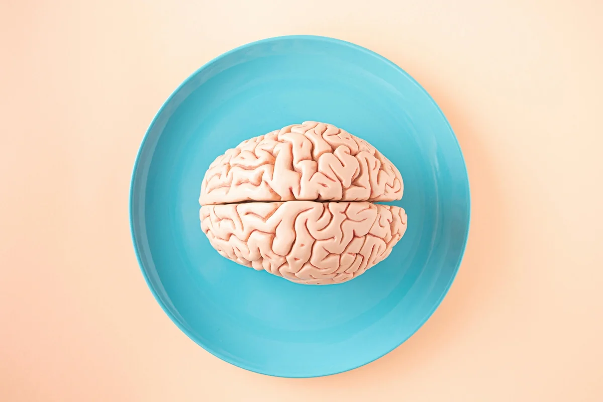 Estudo questiona ideia de que cérebro decide antes de agir