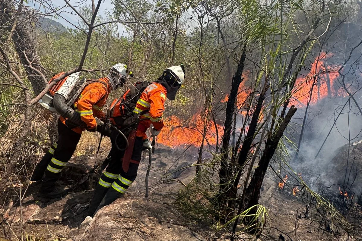 Raio provoca incêndio em área de difícil acesso na Chapada dos Veadeiros