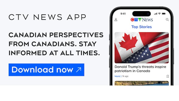 Há mais borboletas-monarca em Toronto este ano? Especialistas dizem que sim, mas há uma pegadinha.