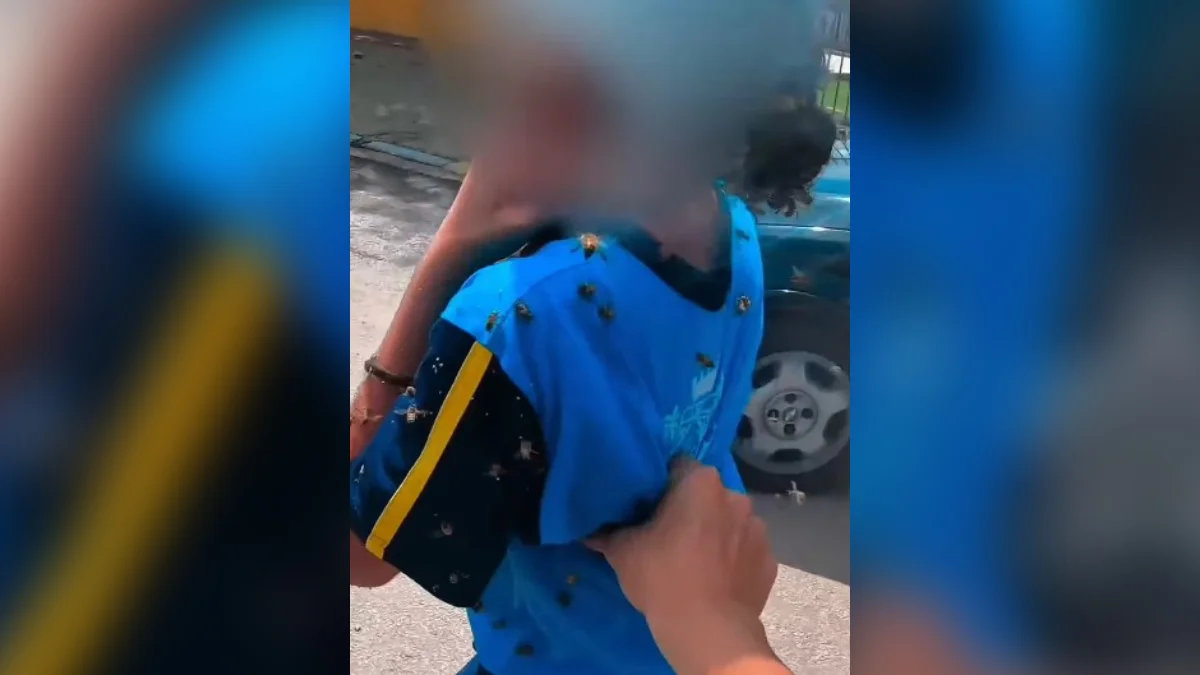 Motoboy salva criança e leva 40 picadas durante ataque de abelhas em MG