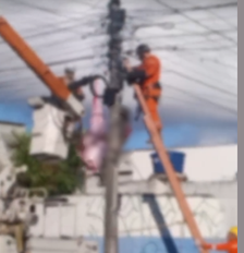 Corpo foi retirado no início da manhã desta segunda-feira, 21, pelo Corpo de Bombeiros Foto: Reprodução/Instagram/@olindaordinariaa