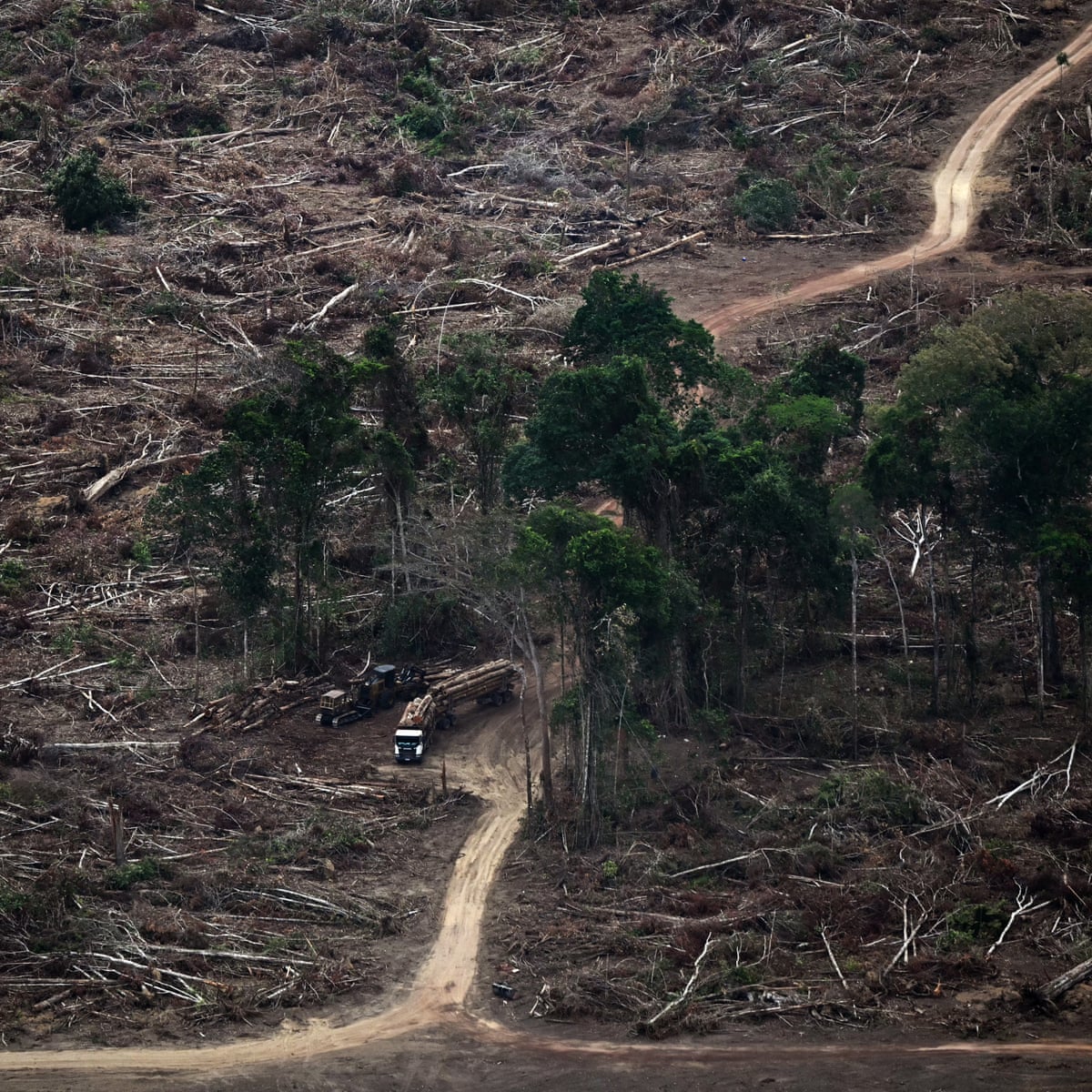 'Limites planetários' necessários para o florescimento da vida foram massivamente violados, alertam cientistas
