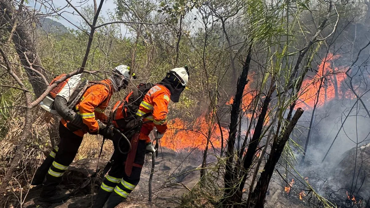 Raio provoca incêndio em área de difícil acesso na Chapada dos Veadeiros