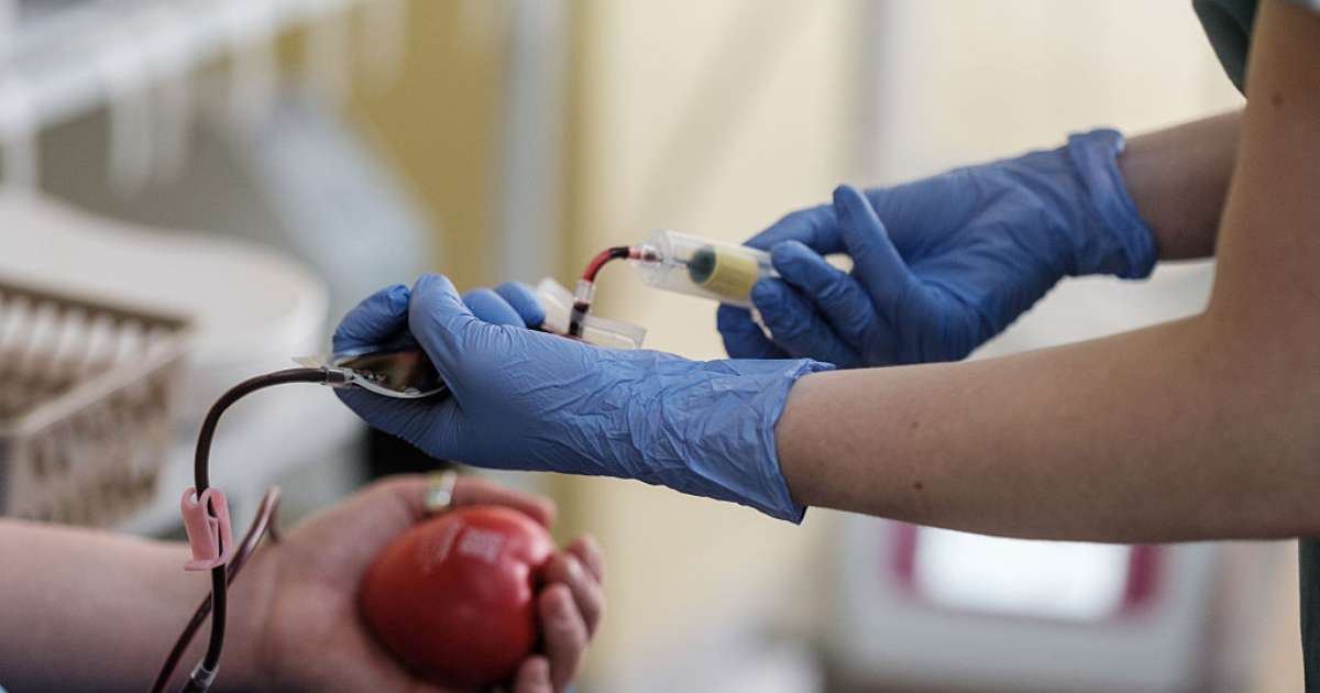 Testemunhas de Jeová flexibilizam regras sobre doação de sangue; entenda