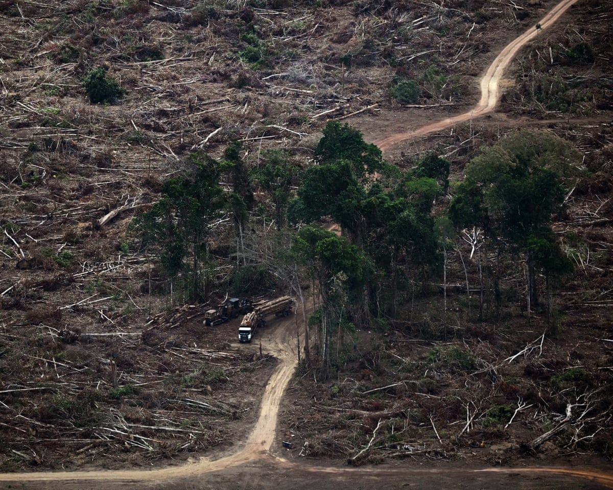'Limites planetários' necessários para o florescimento da vida foram massivamente violados, alertam cientistas
