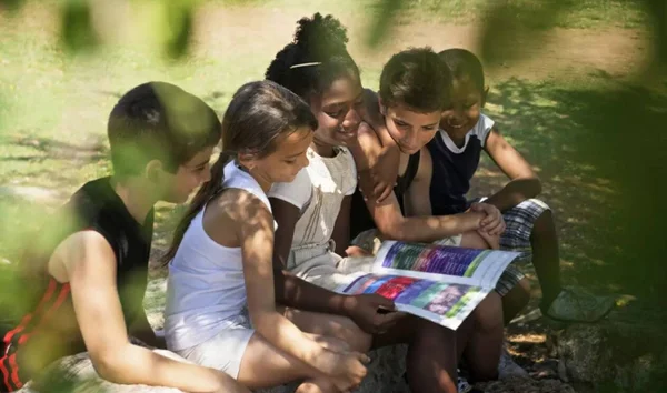 Num mundo fragmentado, ler é um ato de rebeldia (por Nazaré Castellanos)