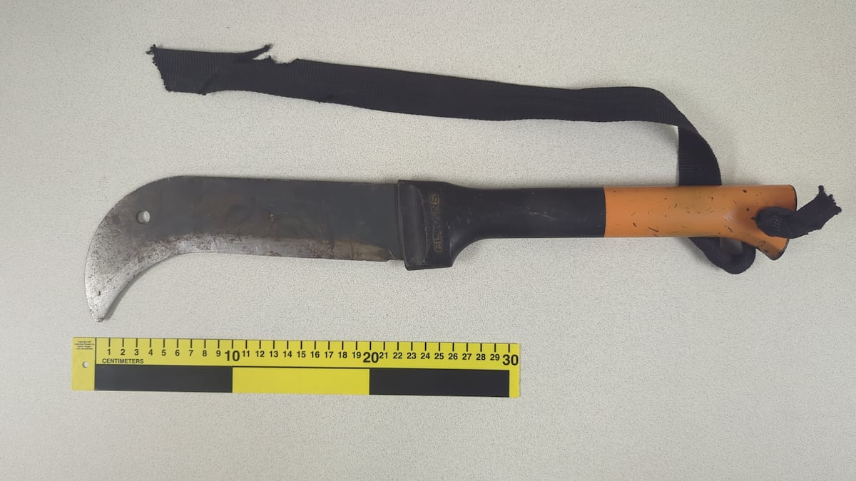 Man charged after alleged machete threats in Owen Sound