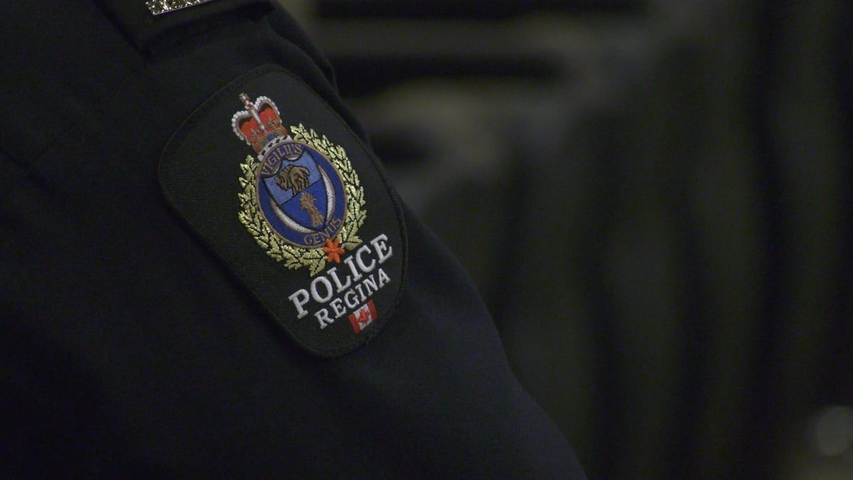 Regina police seize 3 weapons, arrest man for weekend assault
