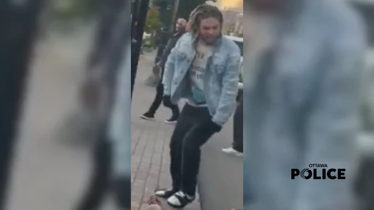 Ottawa police searching for suspect in Glebe bus assault