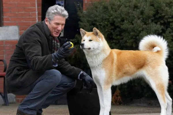 Sempre ao Seu Lado: conheça a história real que inspirou o filme