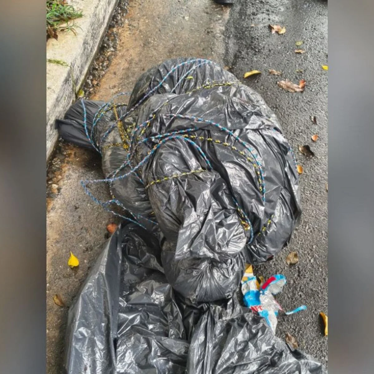 Corpos em sacos de lixo: veja casos ligados à teoria de serial killer