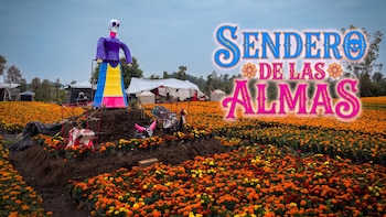 Sendero de las Almas: vive el recorrido gratis entre catrinas, cempasúchil y chinampas en la CDMX
