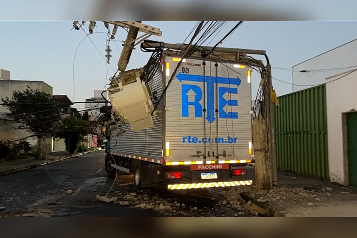 MG: caminhão acerta poste, atinge enxame de abelhas e 3 homens ficam presos
