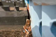 Bombeiros quebraram muro para resgatar animal
