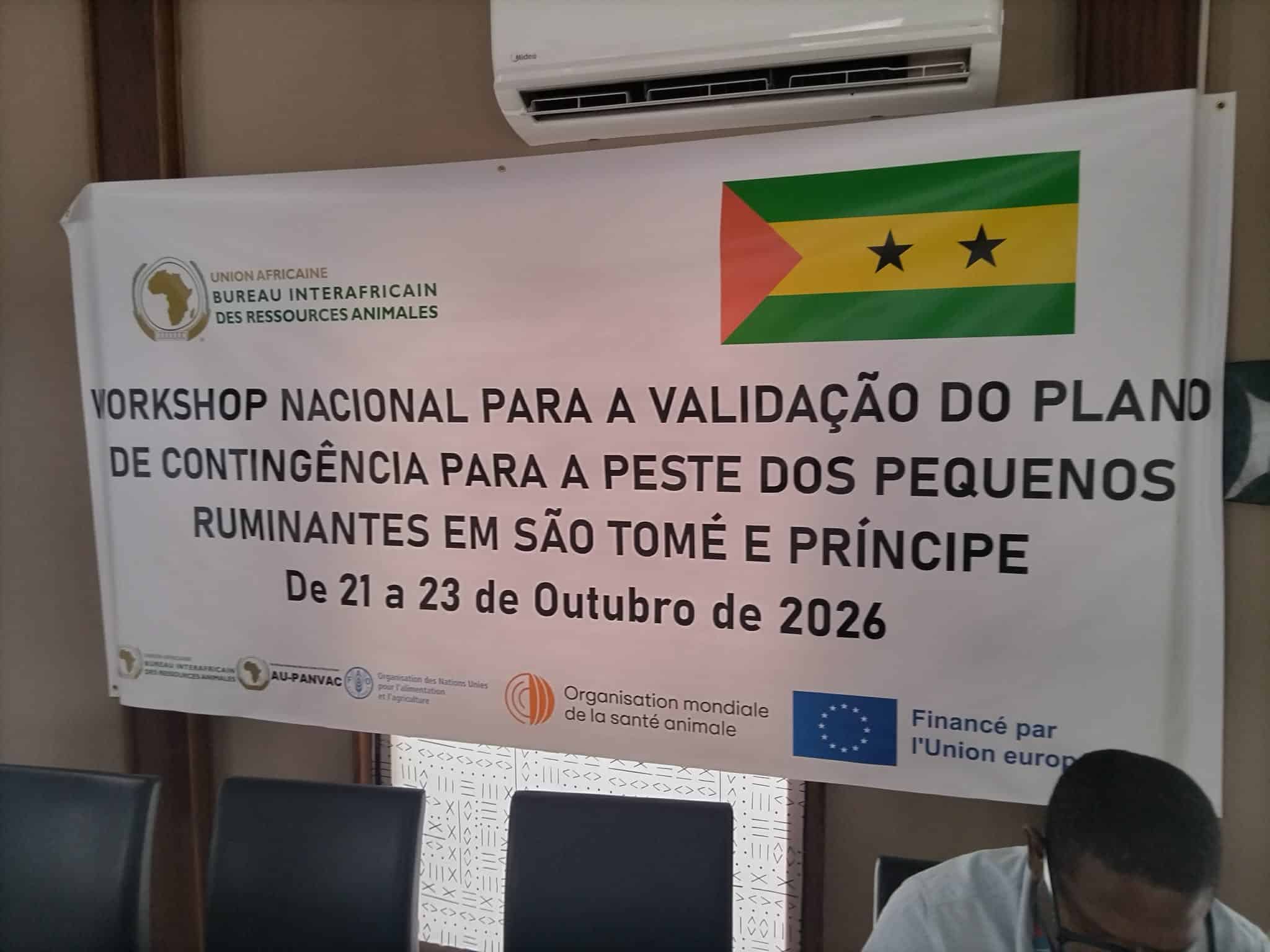 Reforço da prevenção face à ameaça da Peste dos Pequenos Ruminantes