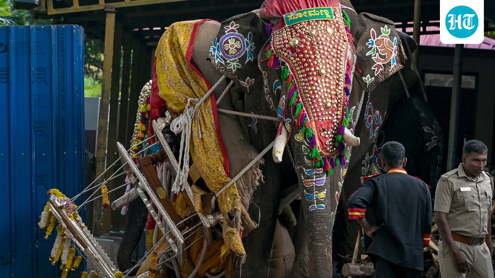 Vídeo: Elefante carregando uma caixa de prata com incenso fica em pânico na celebração do Dasara no Karnataka, danifica veículos antes de ser tranquilizado