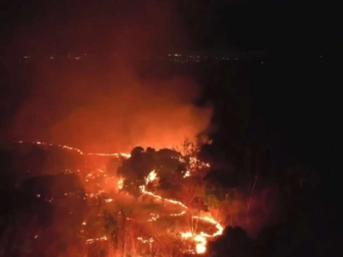 Incêndio em área da Embrapa mobiliza Exército e bombeiros em Teresina (PI)