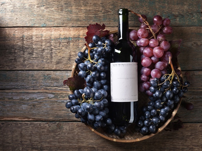 Outros Tipos de Uvas: Pinotage, Tempranillo, Bonarda e mais