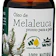 Top 10 Melhores Óleos de Melaleuca em 2022 (Para Que Serve e mais)
